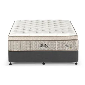 Brighton Support Queen Mattress