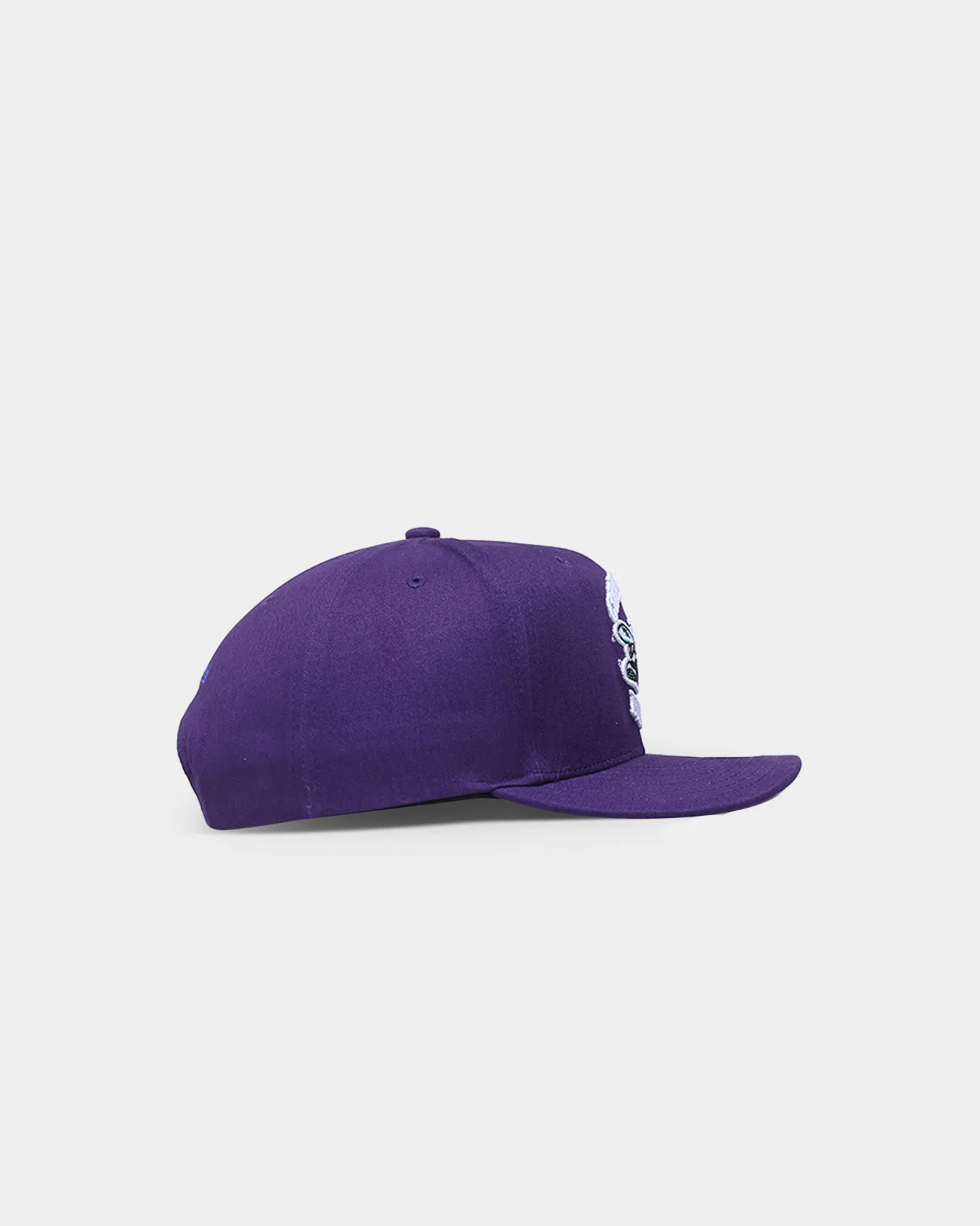 Mitchell & Ness Charlotte Hornets 'Easy Win' Pro Crown Snapback Original Team Colours