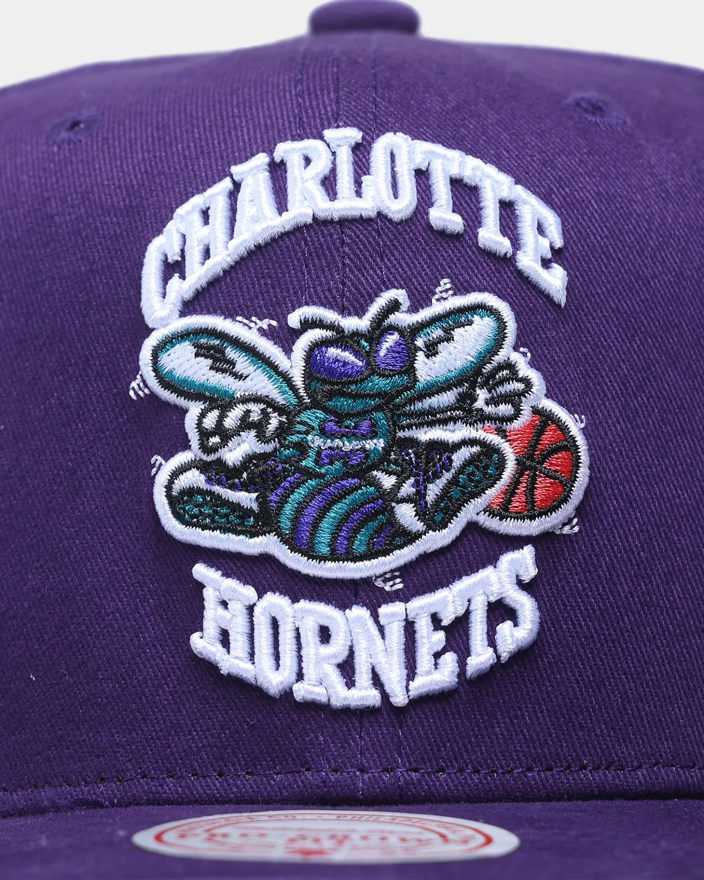 Mitchell & Ness Charlotte Hornets 'Easy Win' Pro Crown Snapback Original Team Colours