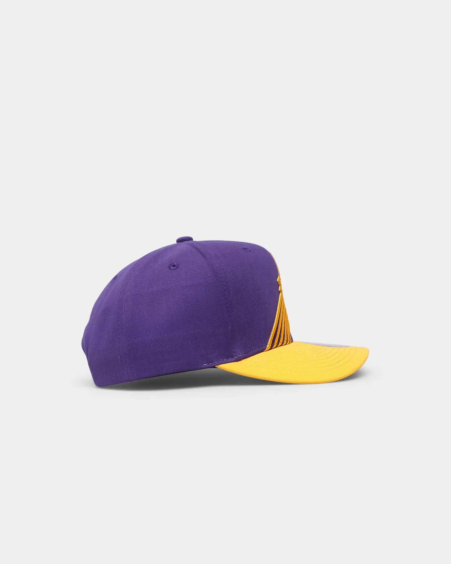 Mitchell & Ness Phoenix Suns 'Hardwood XL Crop Logo' Pro Crown Snapback Original Team Colours