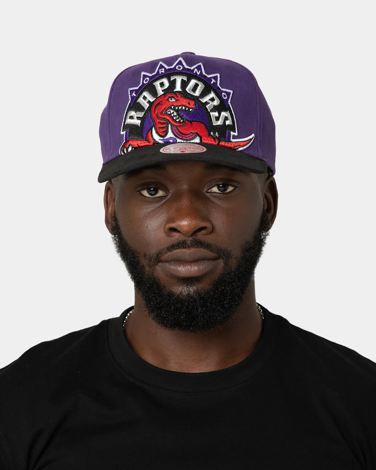 Mitchell & Ness Toronto Raptors 'Hardwood XL Crop Logo' Pro Crown Snapback Original Team Colours