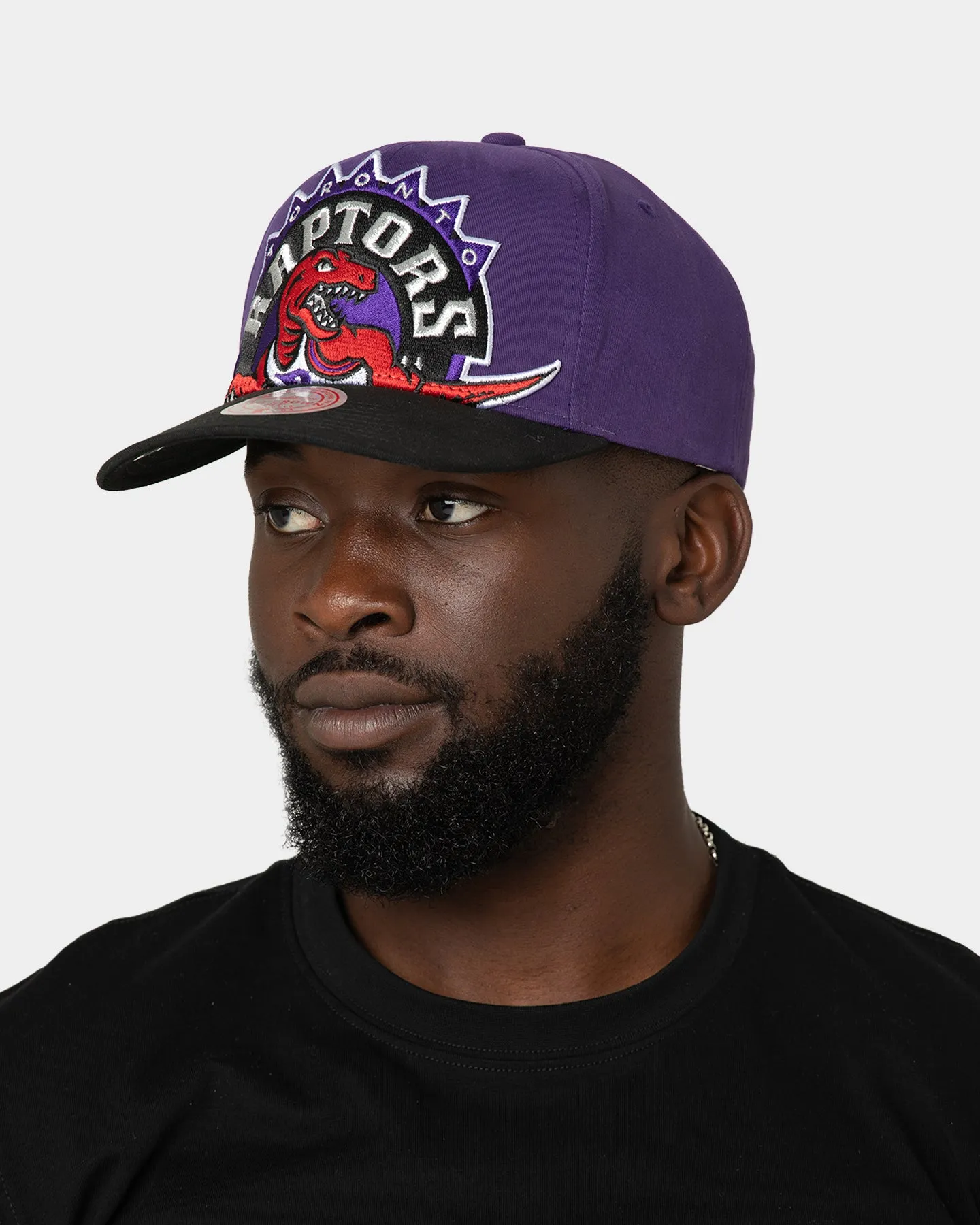 Mitchell & Ness Toronto Raptors 'Hardwood XL Crop Logo' Pro Crown Snapback Original Team Colours