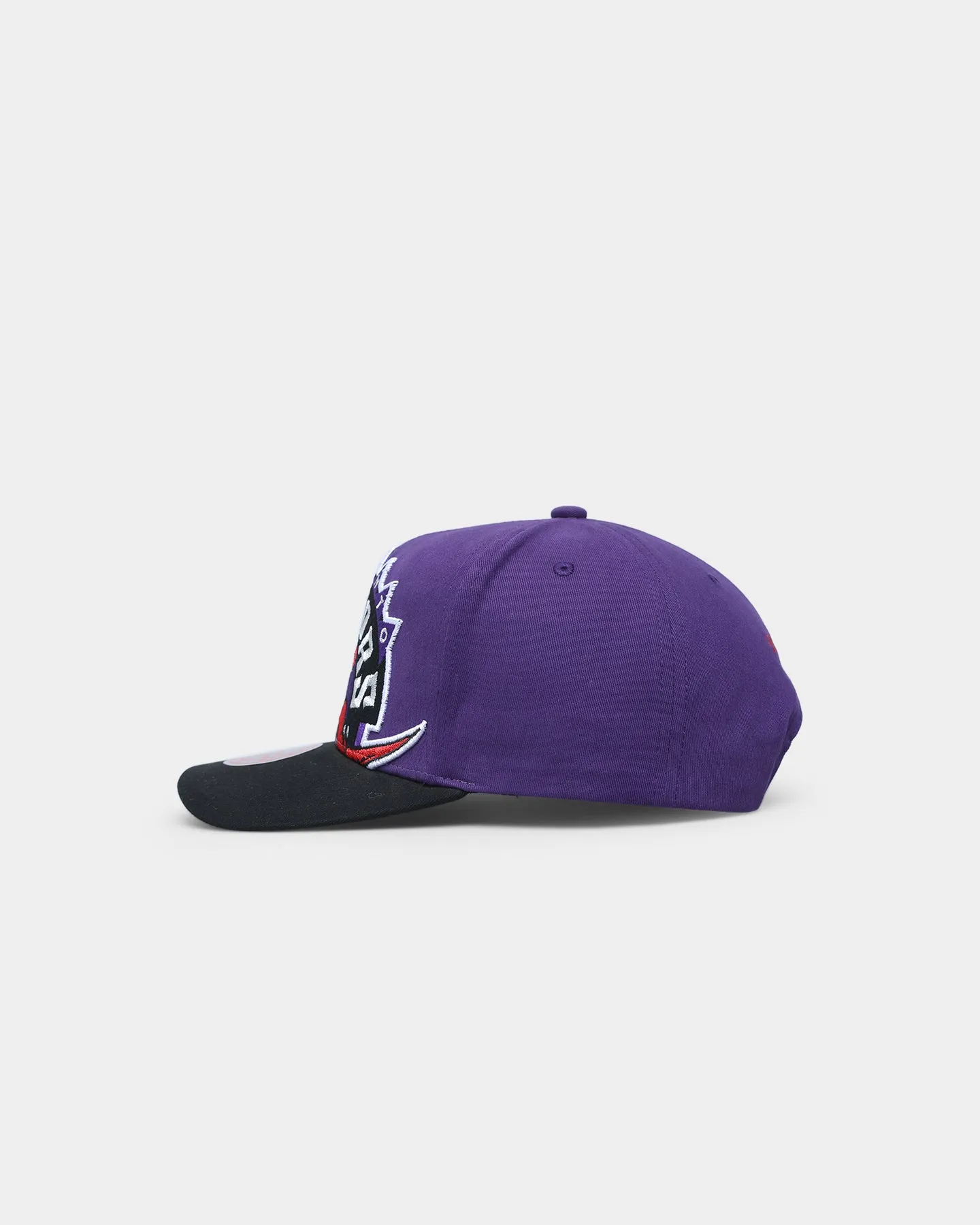 Mitchell & Ness Toronto Raptors 'Hardwood XL Crop Logo' Pro Crown Snapback Original Team Colours