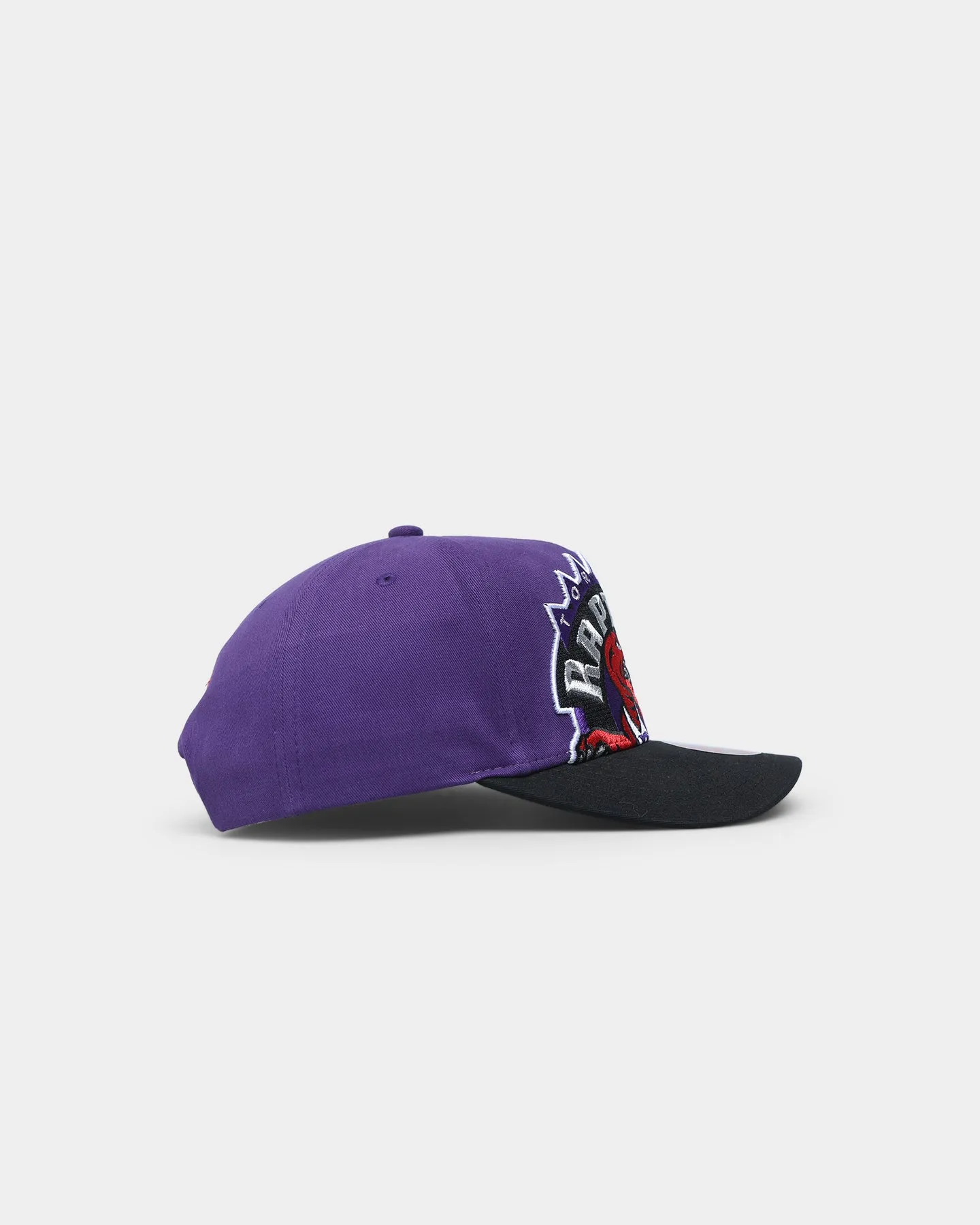 Mitchell & Ness Toronto Raptors 'Hardwood XL Crop Logo' Pro Crown Snapback Original Team Colours