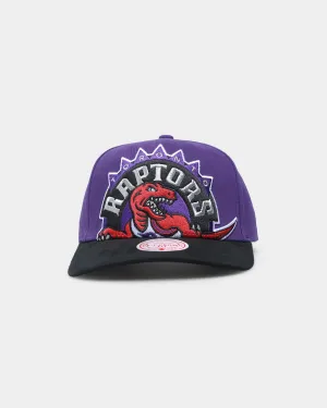 Mitchell & Ness Toronto Raptors 'Hardwood XL Crop Logo' Pro Crown Snapback Original Team Colours