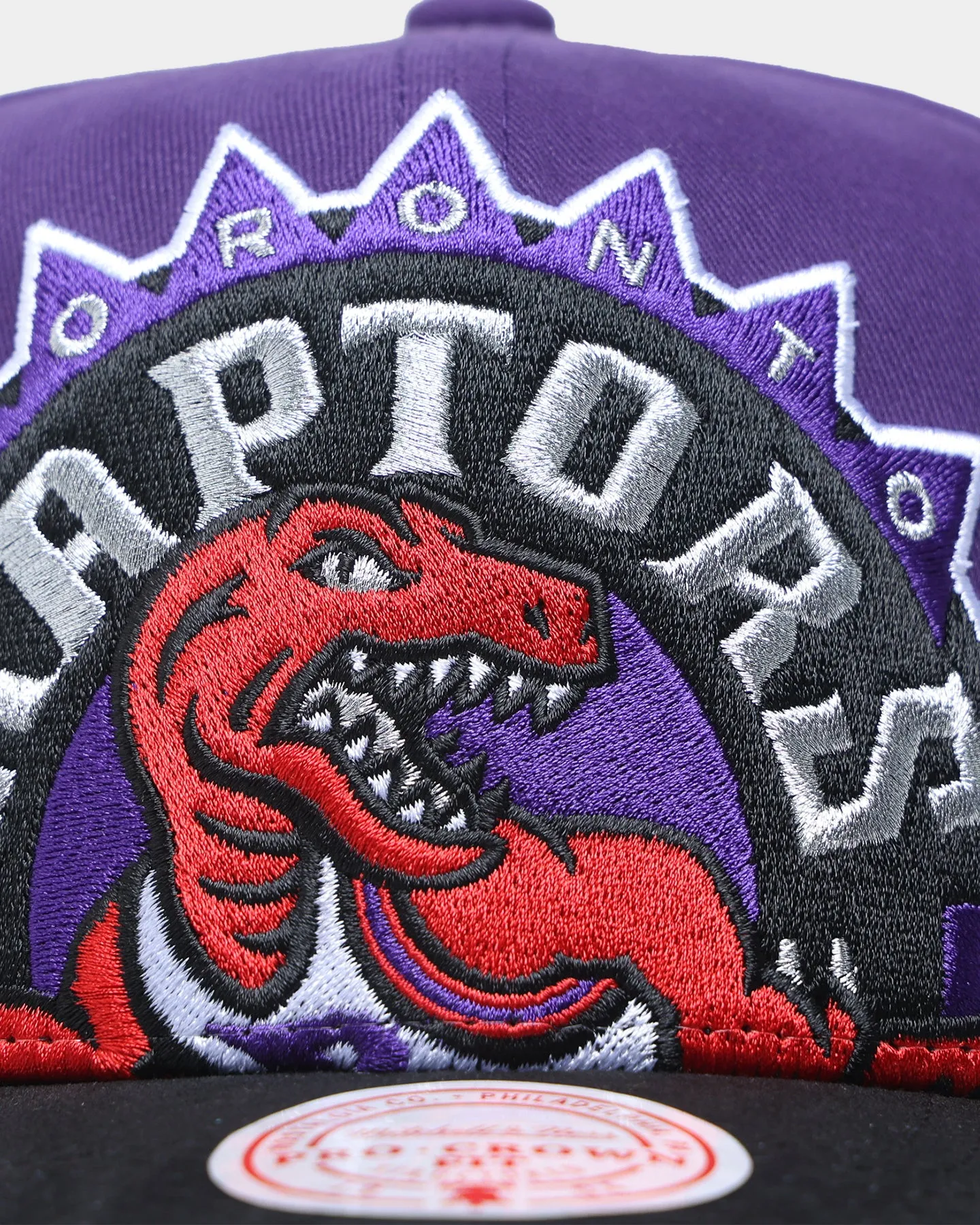 Mitchell & Ness Toronto Raptors 'Hardwood XL Crop Logo' Pro Crown Snapback Original Team Colours